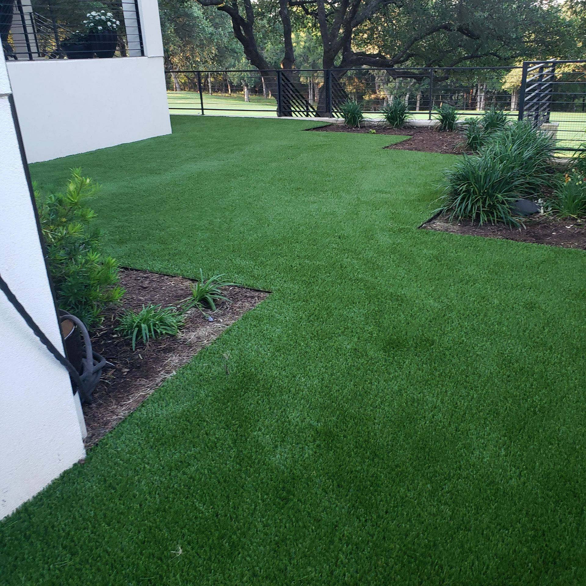 Commercial Turf